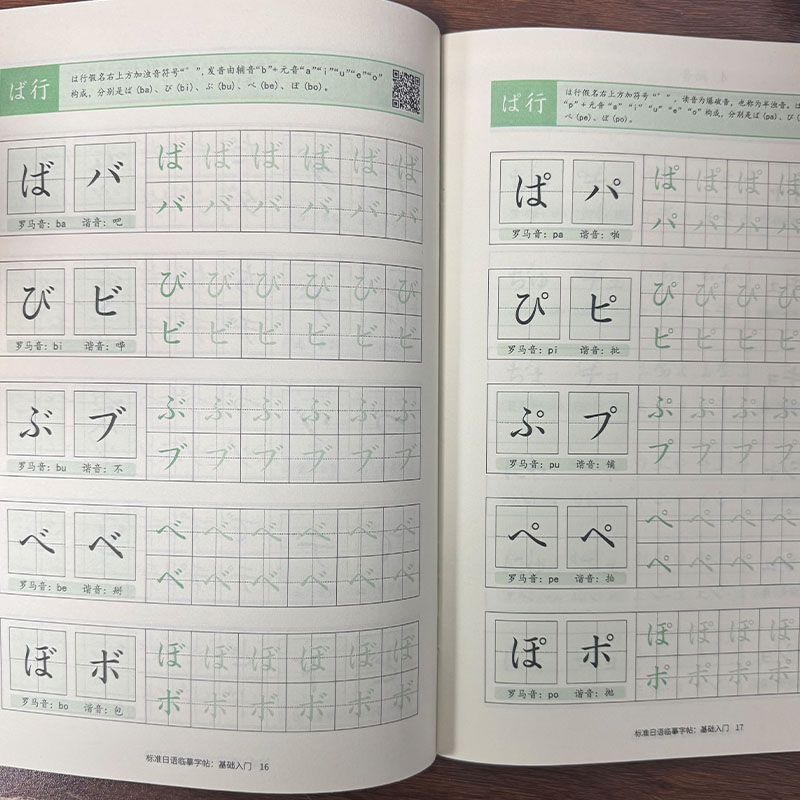 Japanese Hiragana & Katakana P - đánh giá và giá Chinese Calligraphy Practice Book
